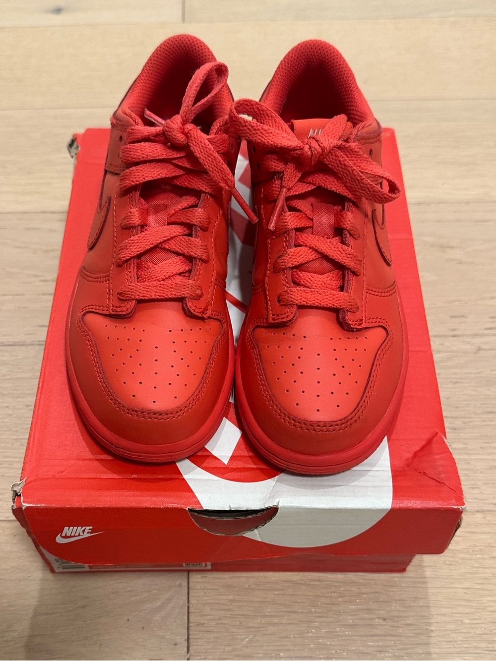 Nike Dunks Low
